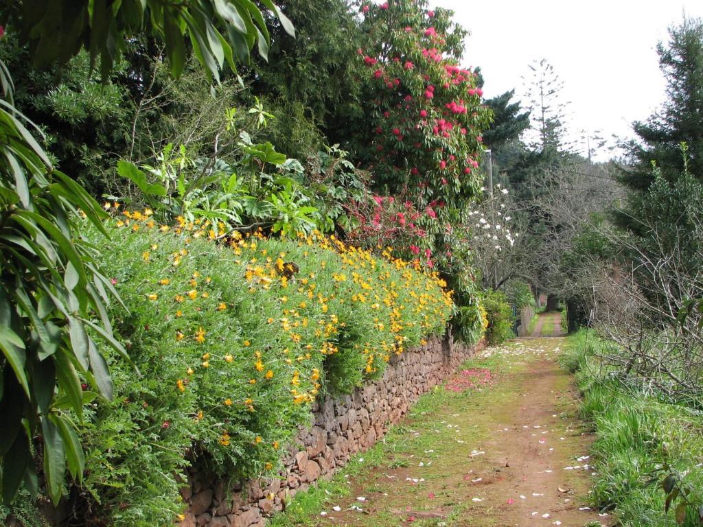 Valle Paraizo Camacha  Esterno foto